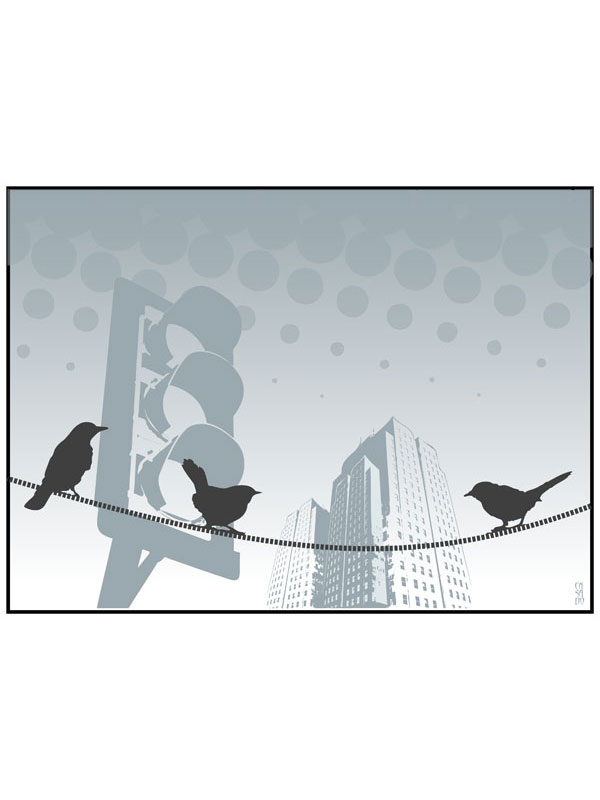 black_bird.jpg